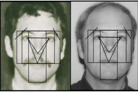 Facial Mapping